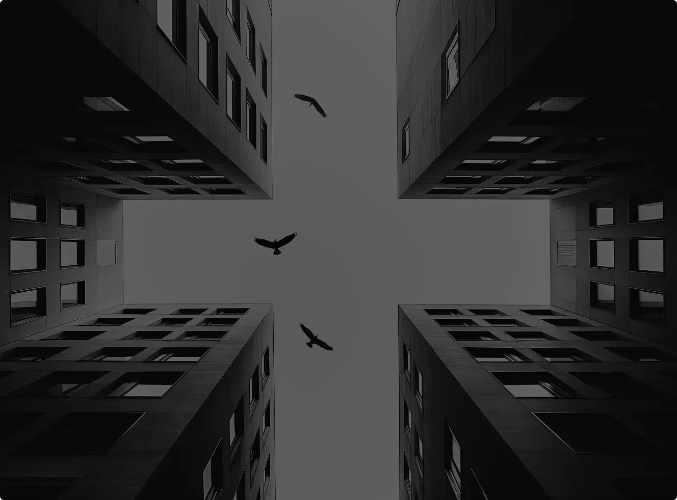 Black and white photo looking up at four tall buildings with three birds flying in the sky.